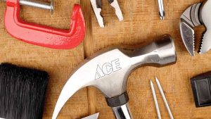 Visit Lake City MN - WHERE TO SHOP - Wise Ace Hardware