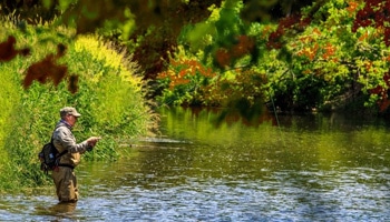 Visit Lake City MN - WHAT TO DO - OUTDOORS