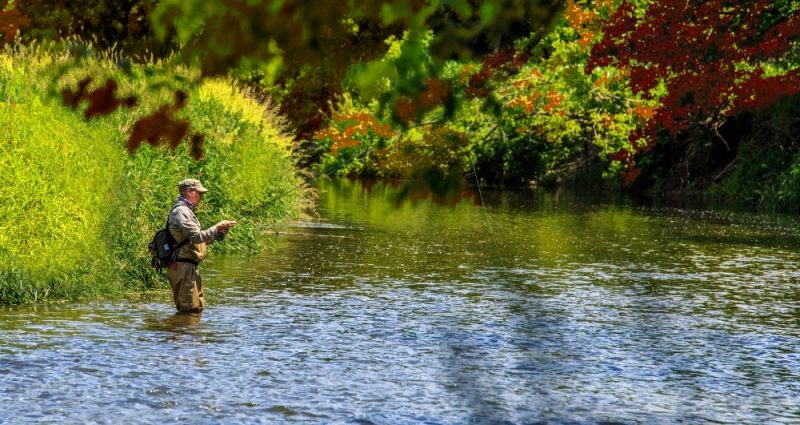 Visit Lake City MN - ON THE WATER - Fishing