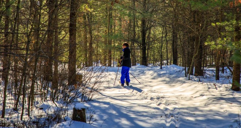 Visit Lake City MN - WHAT TO DO - Cross Country Skiing
