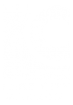 Visit Lake City MN Logo LC